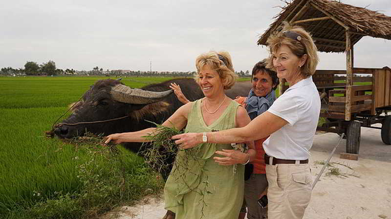 Chic - Retreat Hoi An